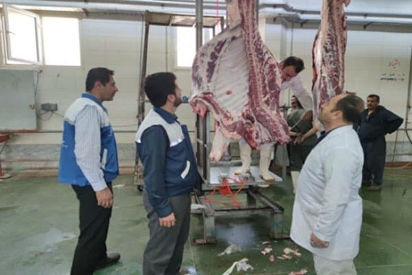 تعیین ۹ نقطه رسمی برای عرضه و ذبح بهداشتی دام در تبریز