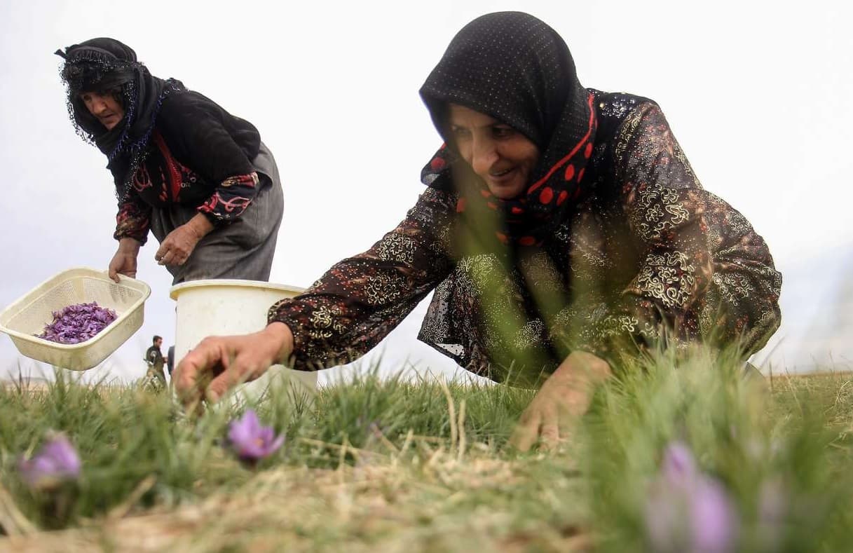 ۹۲ هزار زن روستایی و عشایری در آذربایجان غربی بیمه شدند