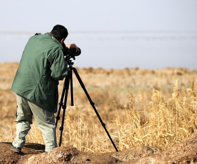 سرشماری زمستانی پرندگان در نقده آغاز شد
