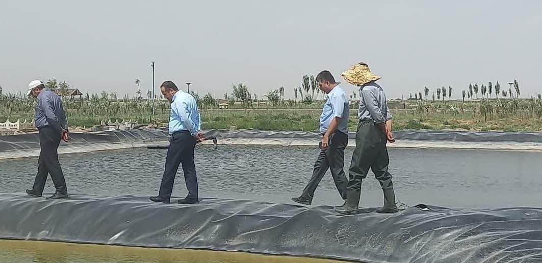 اولین مزرعه پرورش آرتمیا در آذربایجان شرقی به بهره برداری می‌رسد