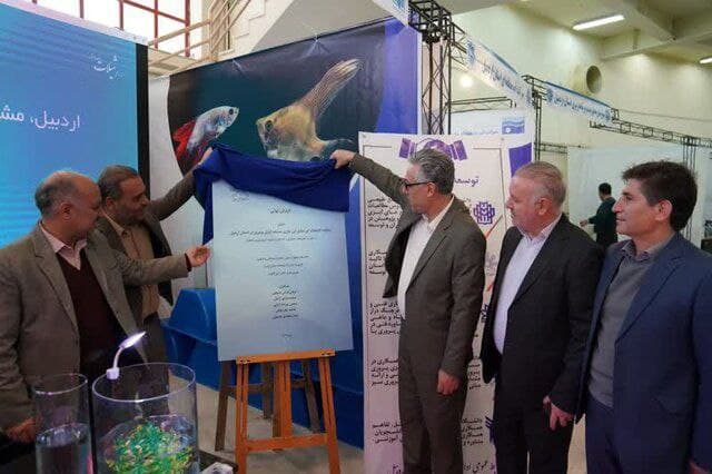 7ejyRx0qB8047MZ4AhlaBA