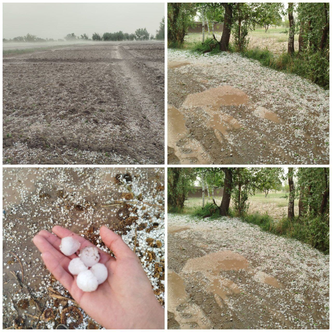 ایواوغلی زیر ضربات تگرگ