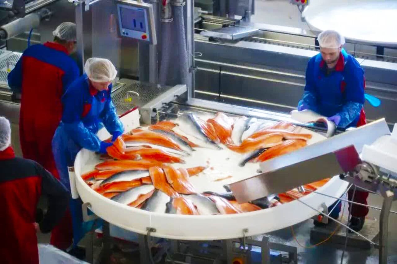 خط فرآوری آبزیان