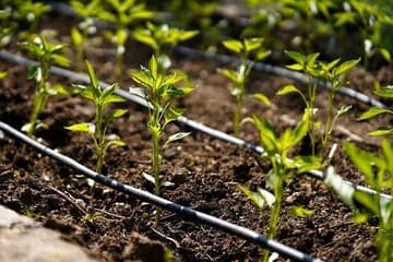 آغاز مطالعات خاک‌شناسی در شهرستان سلطانیه