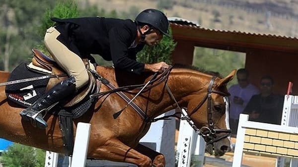 آمادگی زنجان برای میزبانی از مسابقات بین‌المللی سوارکاری