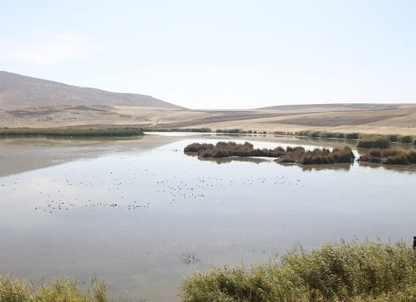 وضعیت آبی تالاب‌های آذربایجان‌غربی مطلوب است