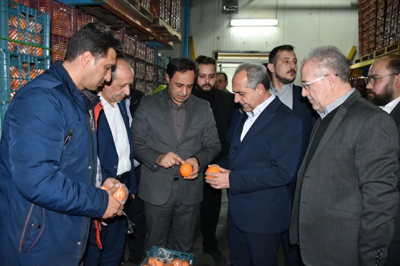 ذخیره سازی ۹۰۰ تن میوه شب عید در آذربایجان شرقی