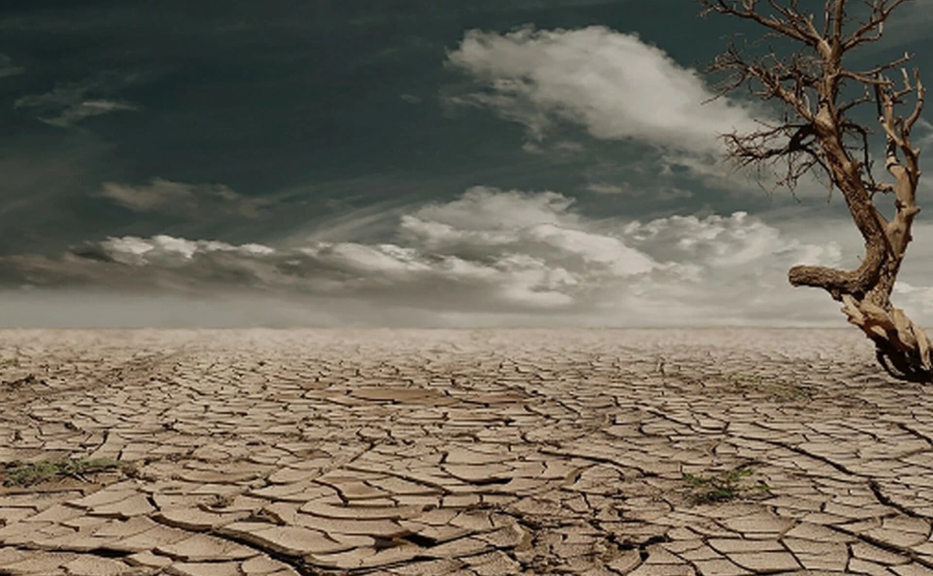 ny6rIYqSHYj1xqJj6tL-VA