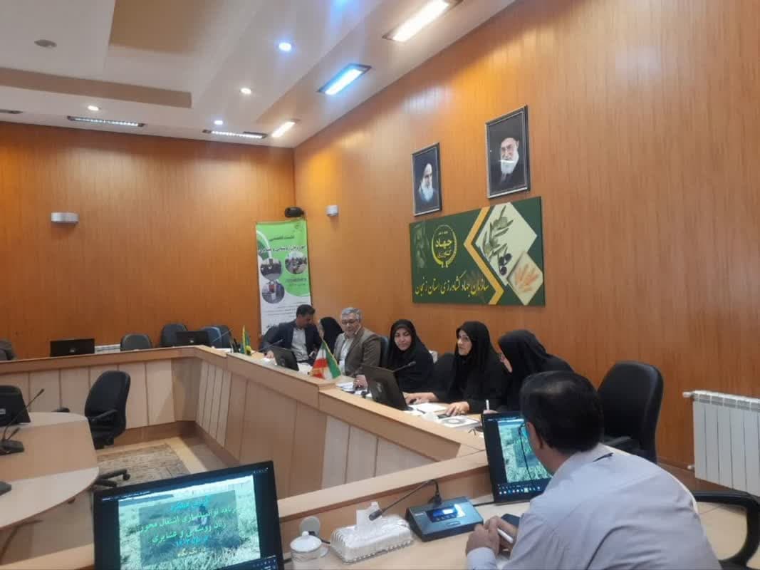 نشست تخصصی بررسی مسائل و مشکلات فعالیت زنان روستایی و عشایری در زنجان برگزار شد