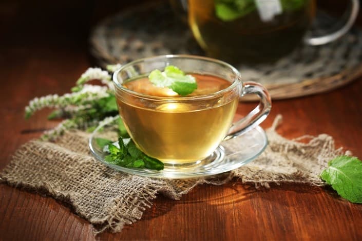 برگزاری چهارمین جشنواره دمنوش‌های گیاهی در آرامگاه چلبی سلطانیه 